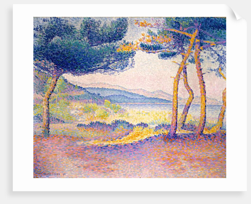 Pines Along the Shore, 1896 by Henri-Edmond Cross