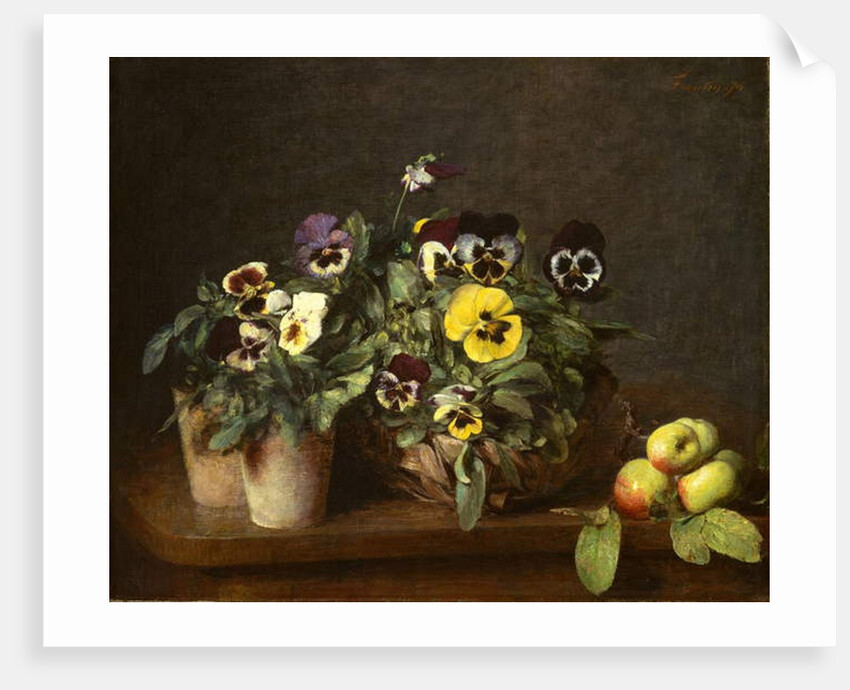 Still Life with Pansies, 1874 by Ignace Henri Jean Fantin-Latour