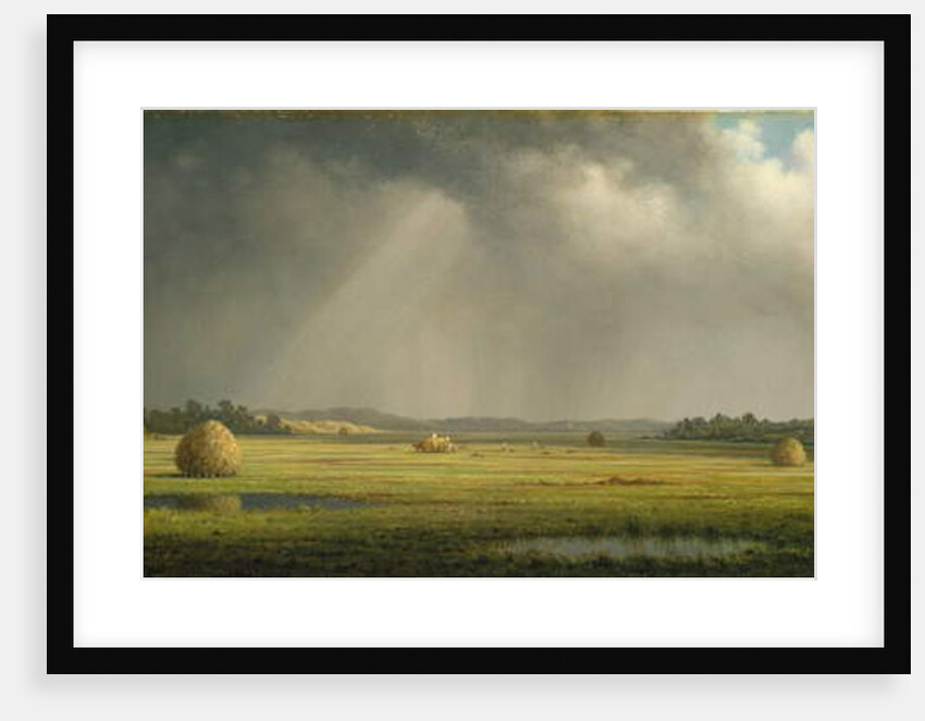 Newburyport Meadows, c.1876–81 by Martin Johnson Heade