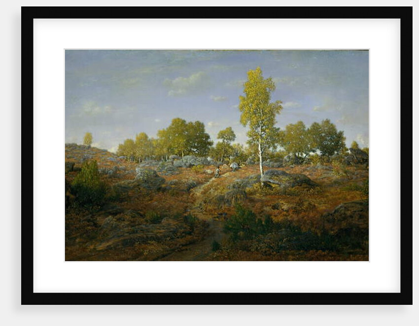 A Path among the Rocks, c.1861 by Pierre Etienne Theodore Rousseau