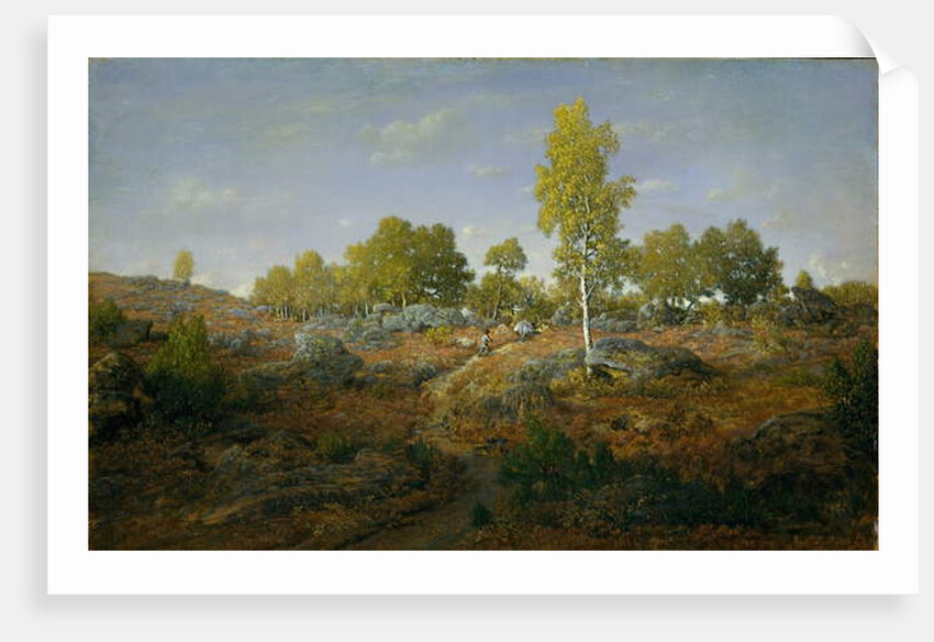A Path among the Rocks, c.1861 by Pierre Etienne Theodore Rousseau