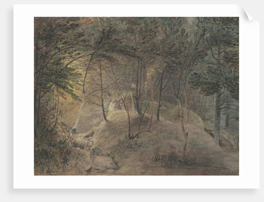 The View from the Springhouse at Echo, c.1808 by William Russell Birch