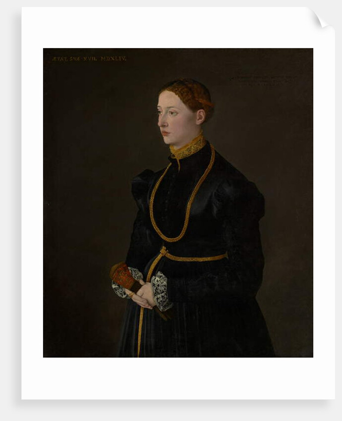 Portrait of Barbara Kressin, 1544 by School Netherlandish