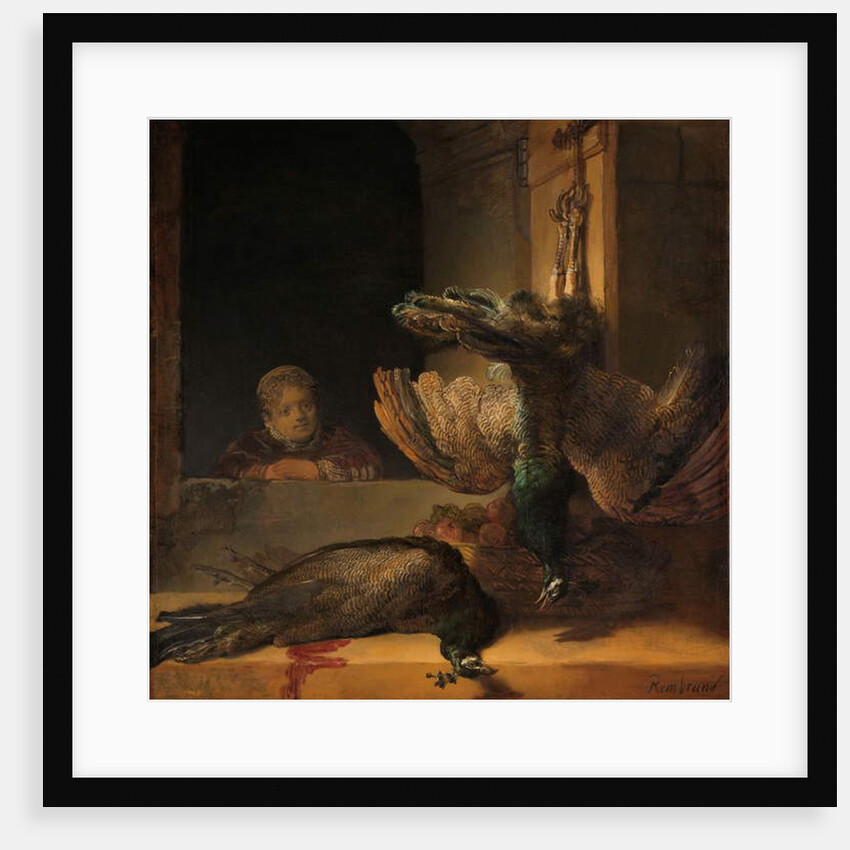Still Life with Peacocks, c.1639 by Rembrandt Harmensz. van Rijn