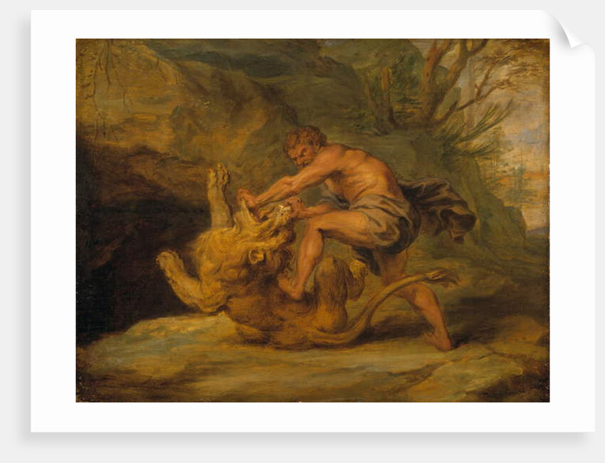 Samson and the Lion, c.1640 by Peter Paul (studio of) Rubens
