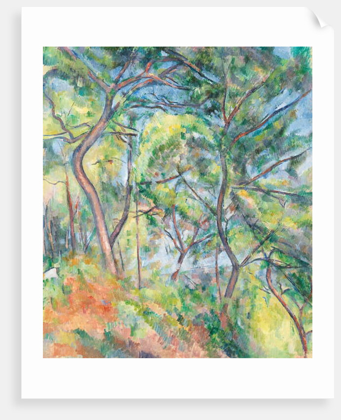 Sous-Bois, c.1894 by Paul Cezanne