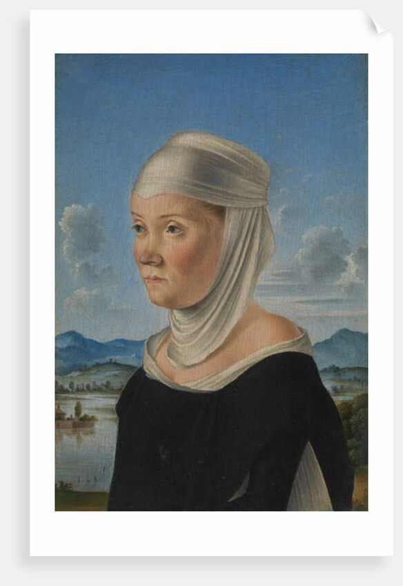 Portrait of a Woman, c.1485-95 by Jacometto (attr. to) Veneziano