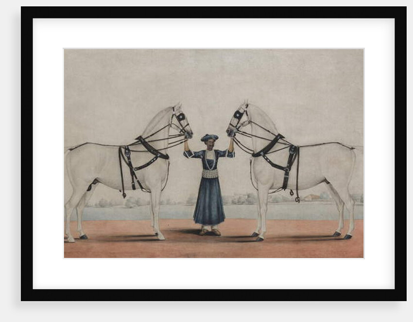 A Syce Holding Two Carriage Horses, c.1845 by Shaik Muhammad Amir of Karraya