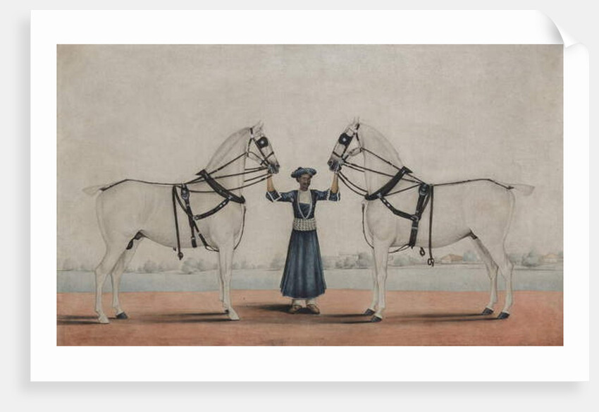 A Syce Holding Two Carriage Horses, c.1845 by Shaik Muhammad Amir of Karraya