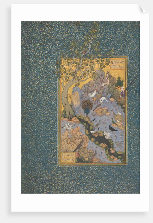 The Concourse of the Birds, c.1600 by Persian School