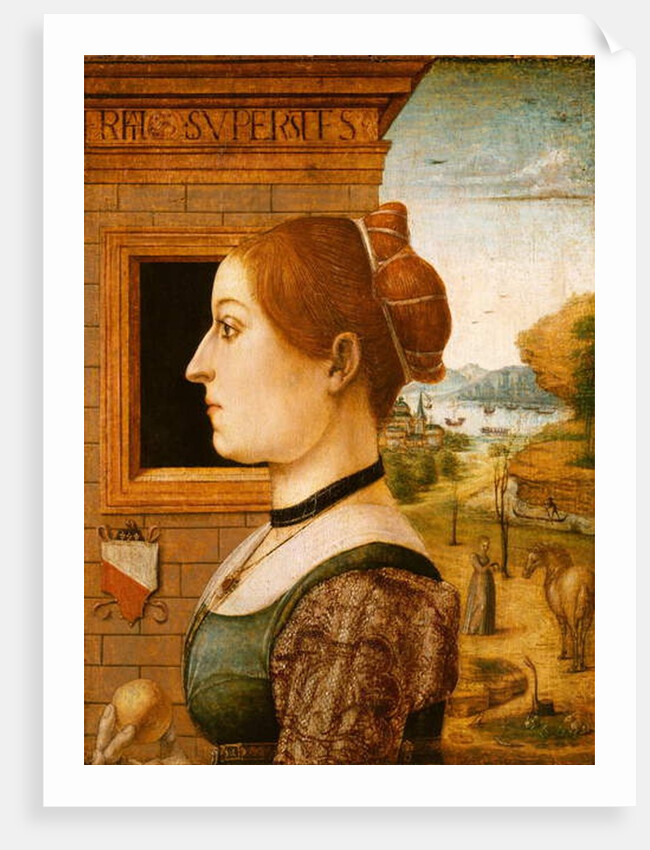 Portrait of a Woman, c.1494 by School Italian