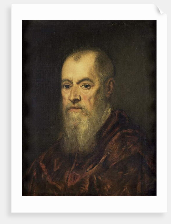 Portrait of a Man with a Red Cloak, 1555-80 by Jacopo Robusti Tintoretto