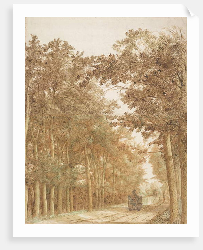 Trail through a forest, c.1638-42 by Cornelis Vroom