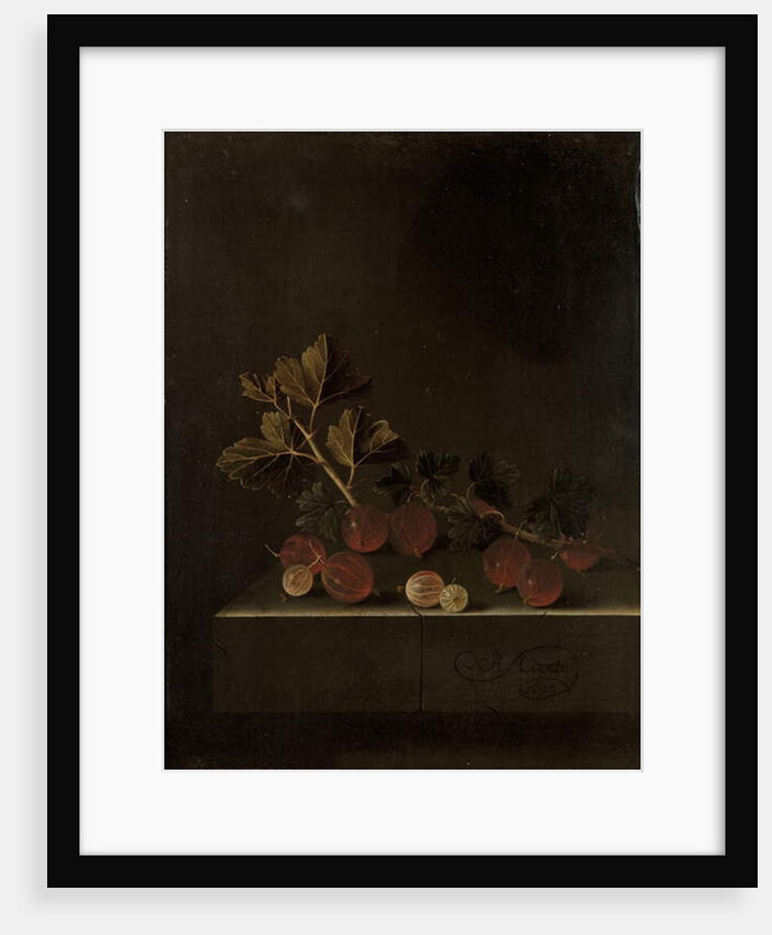A Sprig of Gooseberries on a Stone Plinth, 1699 by Adrian Coorte
