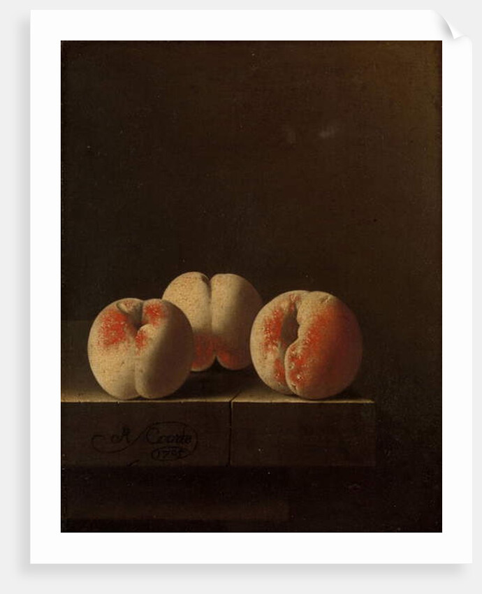 Three Peaches on a Stone Plinth, 1705 by Adrian Coorte