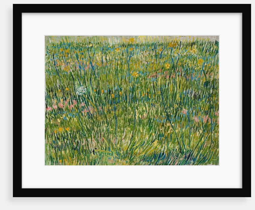 Patch of Grass, April-June 1887 by Vincent van Gogh