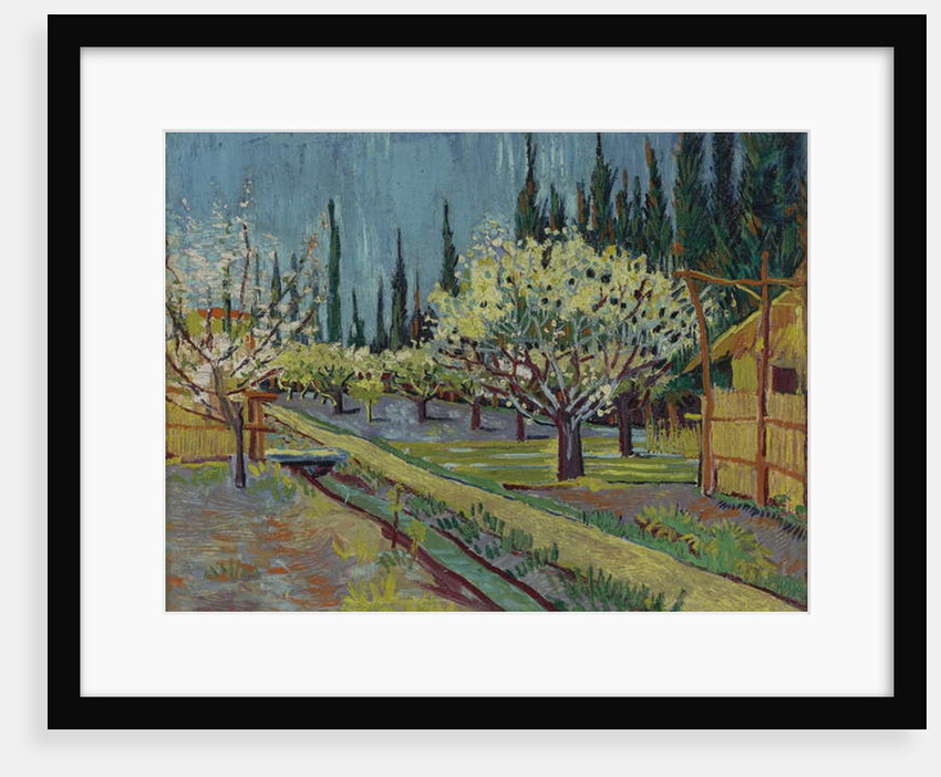 Orchard Bordered by Cypresses, 1888 by Vincent van Gogh