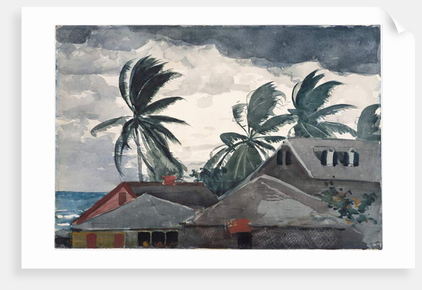 Hurricane, Bahamas, 1898 by Winslow Homer