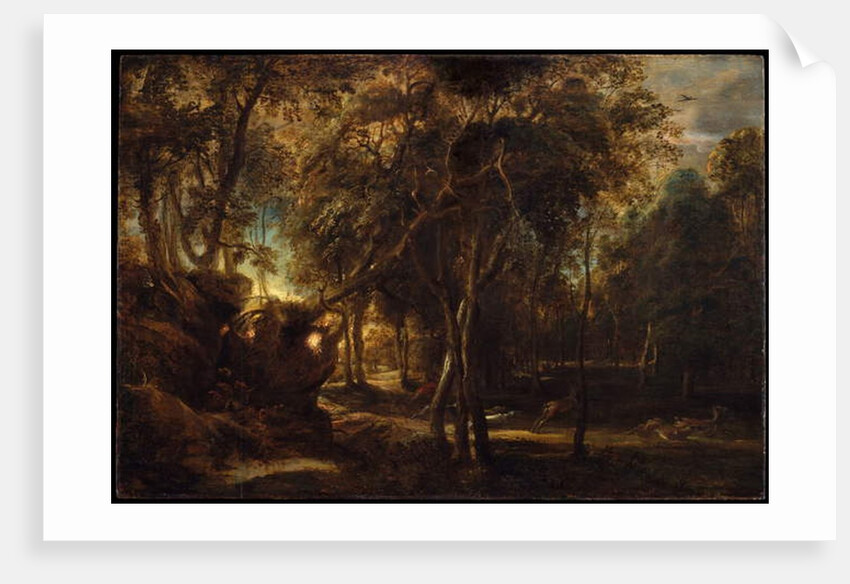 A Forest at Dawn with a Deer Hunt, c.1635 by Peter Paul Rubens