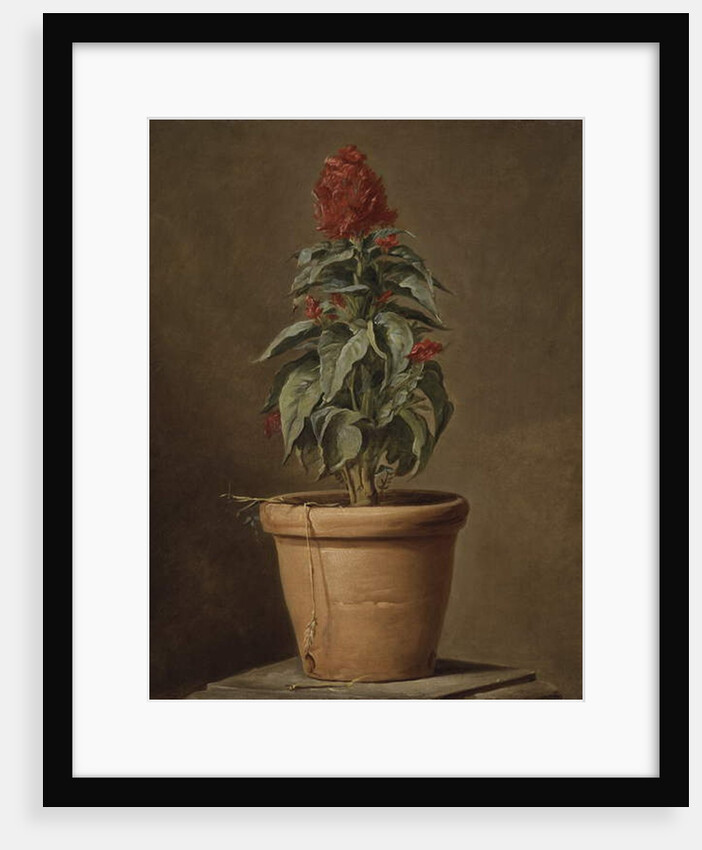 A Potted Plant by Henri Horace Roland de la Porte