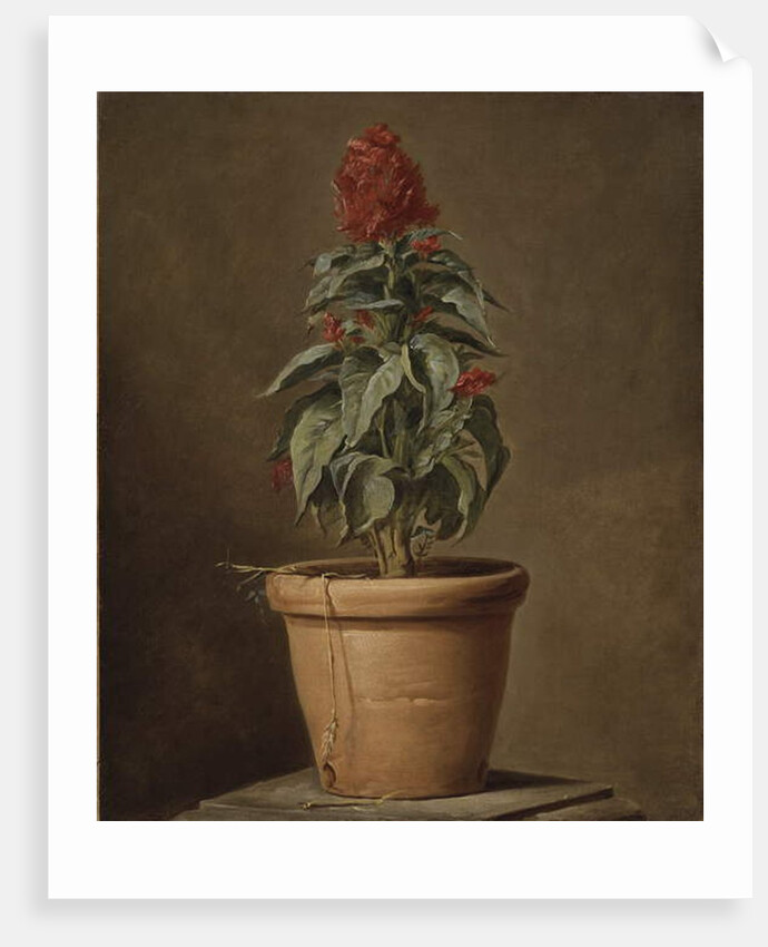 A Potted Plant by Henri Horace Roland de la Porte