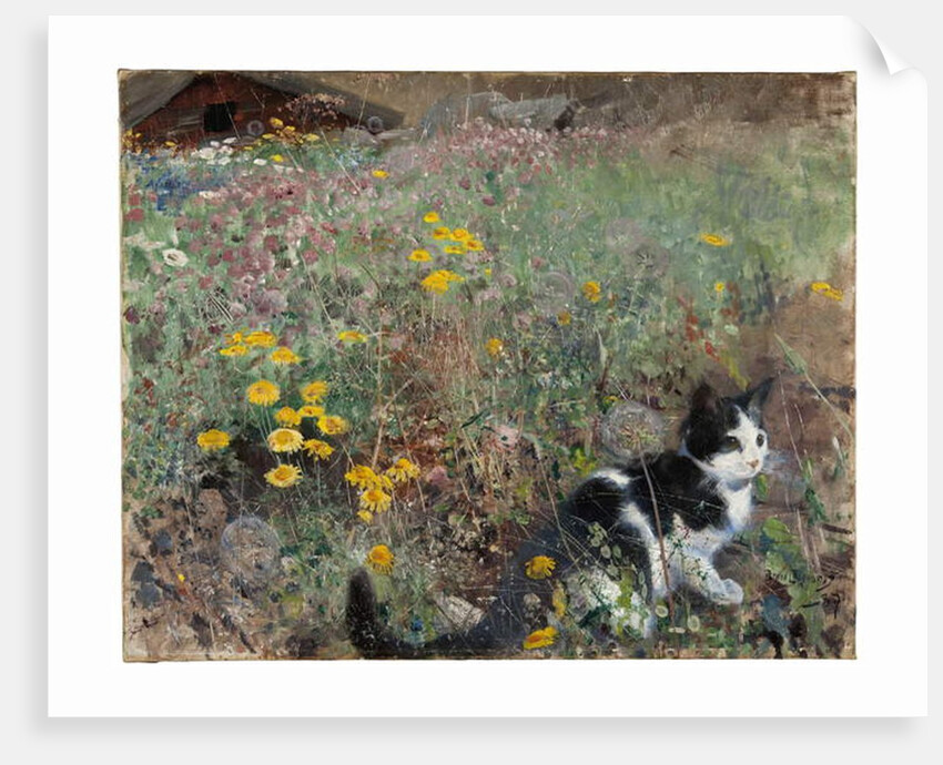 Cat on a flowery meadow, 1887 by Bruno Andreas Liljefors