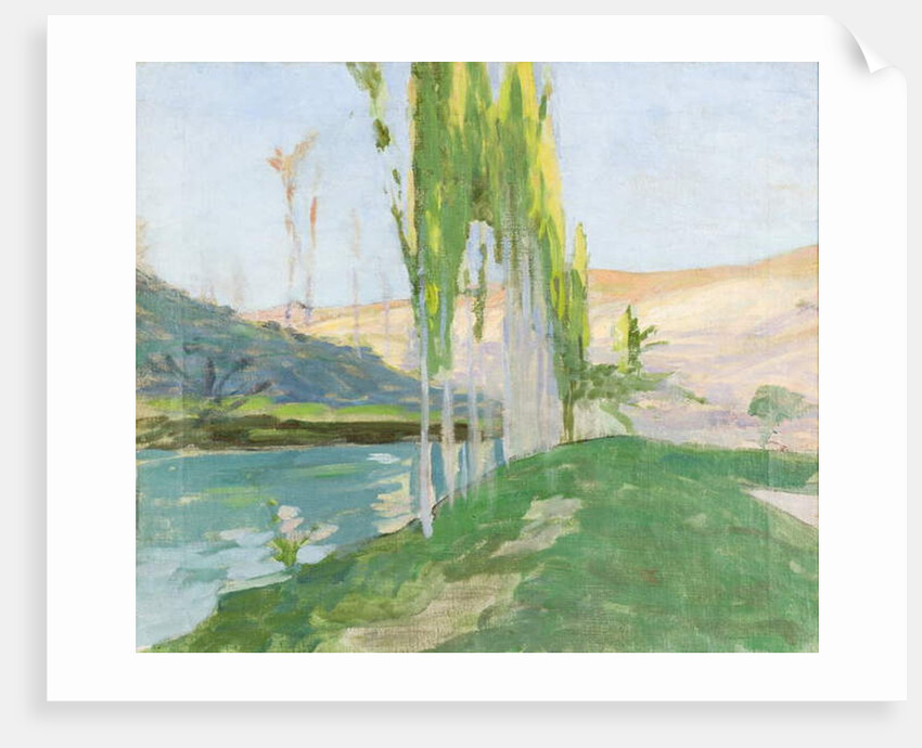 Poplars Growing near a Watercourse by Sven Richard Bergh