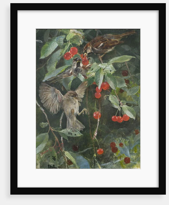 Sparrows in a Cherry Tree, 1885 by Bruno Andreas Liljefors