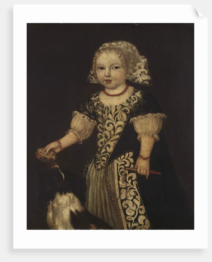 A Young Girl by English School