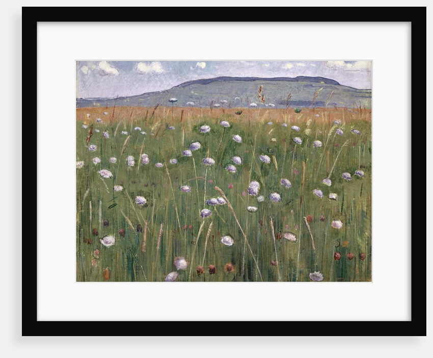 Meadow Piece, c.1901 by Ferdinand Hodler