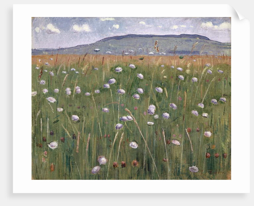 Meadow Piece, c.1901 by Ferdinand Hodler