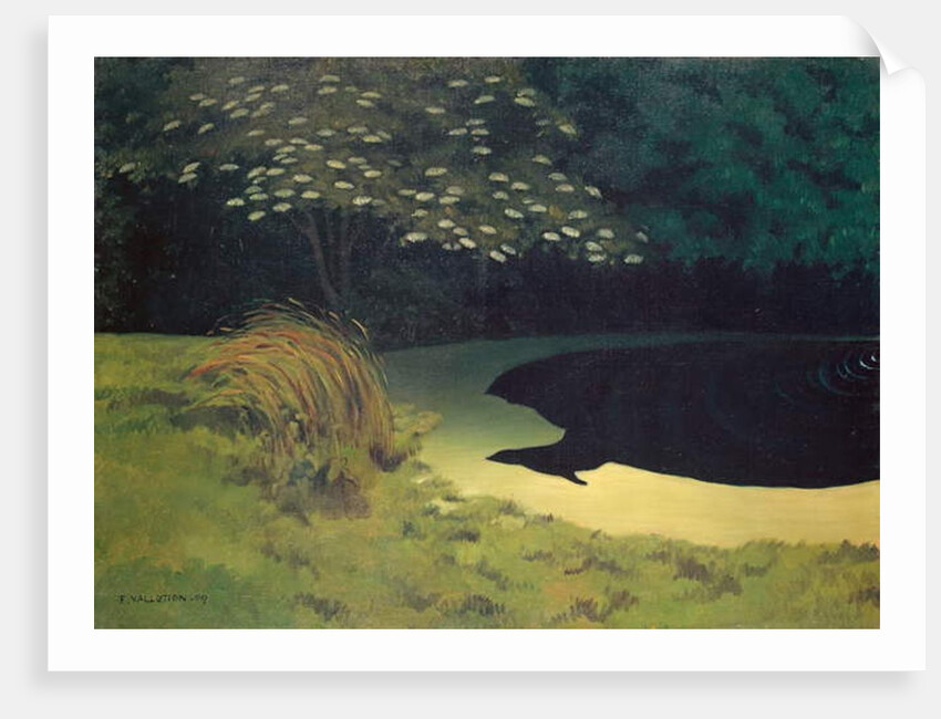 The Pond, 1909 by Felix Edouard Vallotton