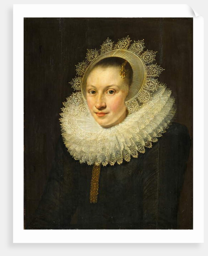 Portrait of a Young Woman by Michiel Jansz. van Miereveld
