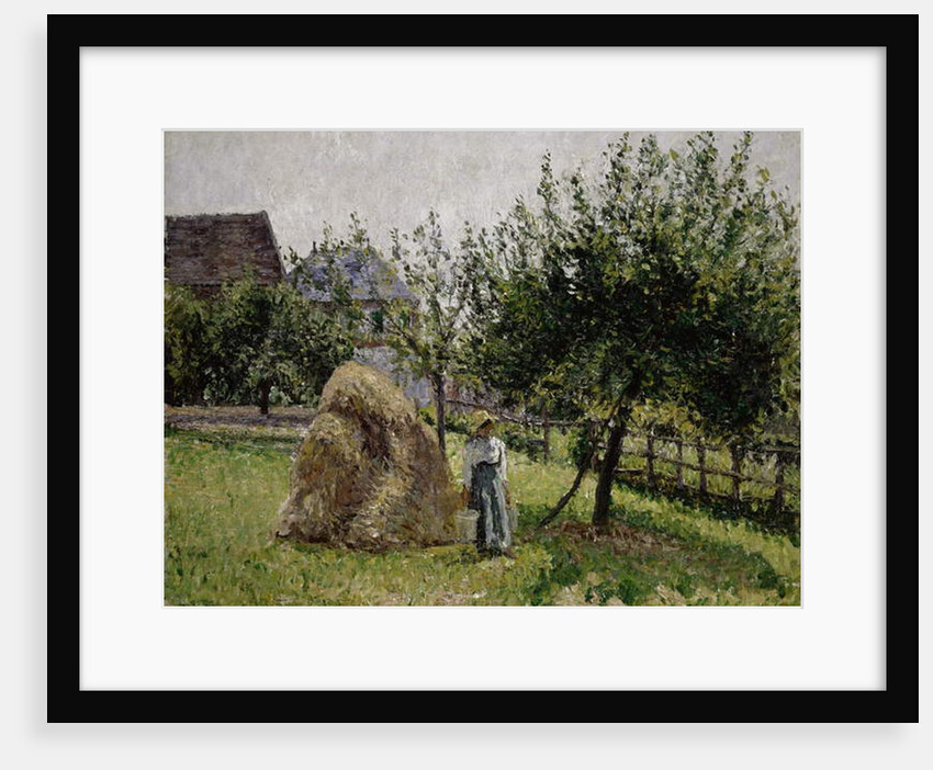 Apple Trees in Eragny, Sunny Morning, 1903 by Camille Pissarro