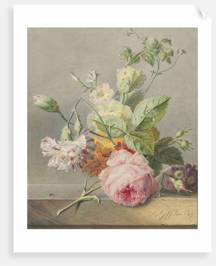 Floral Still Life, c.1800-25 by Georgius Jacobus Johannes van Os