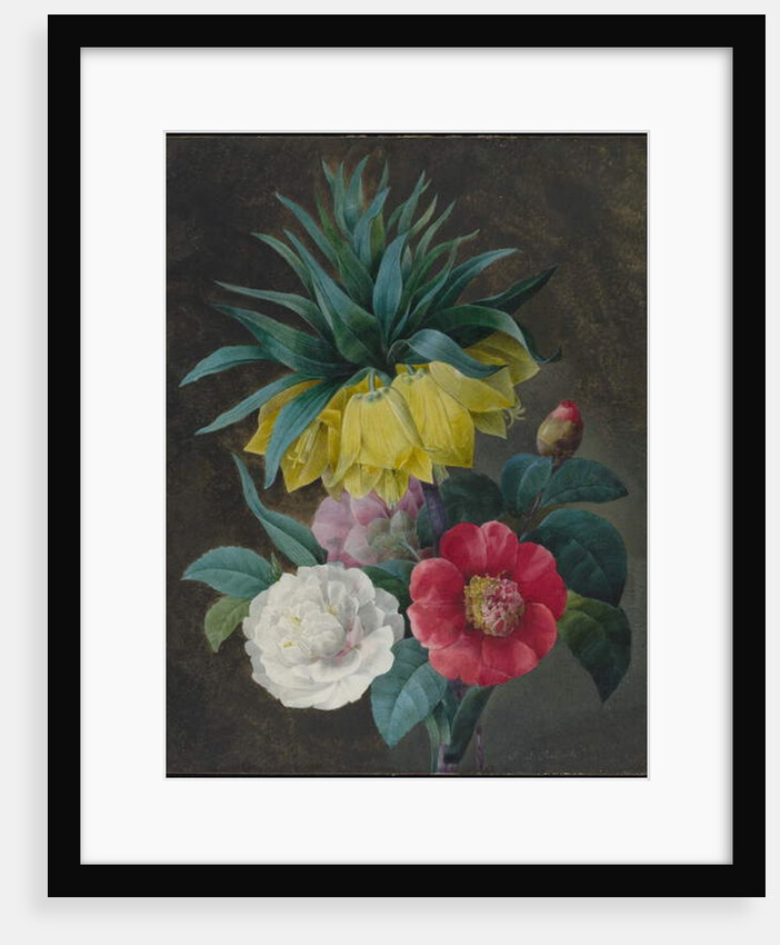 Four Peonies and a Crown Imperial by Pierre-Joseph Redouté
