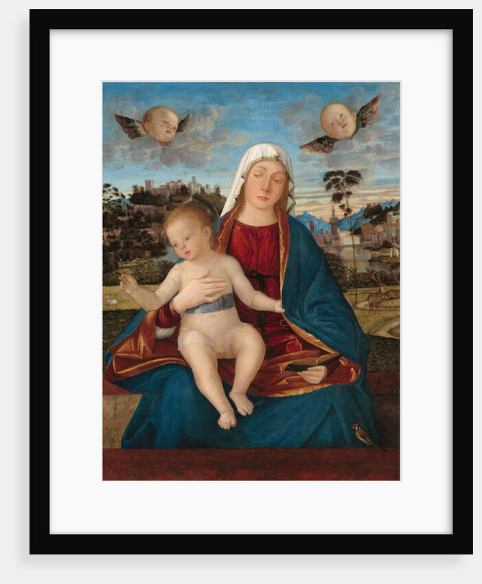 Madonna and Child, c.1505-10 by Vittore Carpaccio