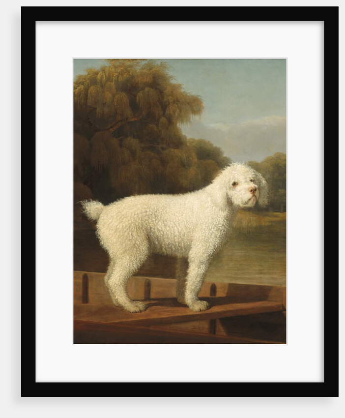 White Poodle in a Punt, c.1780 by George Stubbs