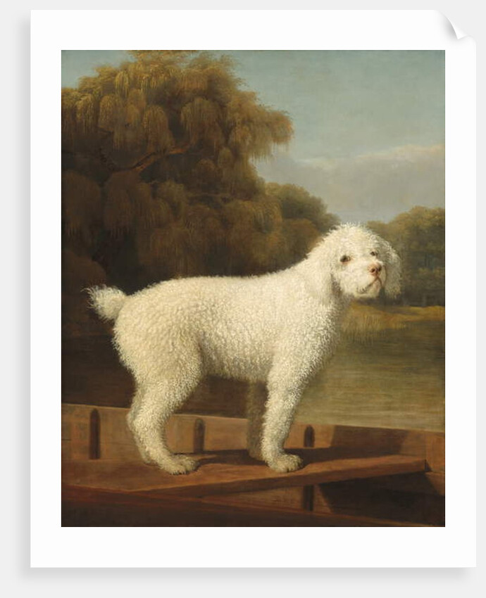 White Poodle in a Punt, c.1780 by George Stubbs