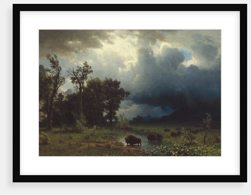 Buffalo Trail: The Impending Storm, 1869 by Albert Bierstadt