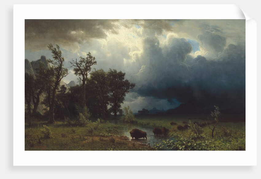 Buffalo Trail: The Impending Storm, 1869 by Albert Bierstadt