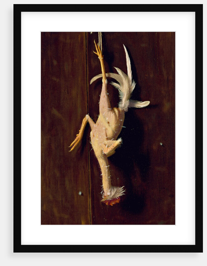 Plucked Clean, 1882 by William Michael Harnett