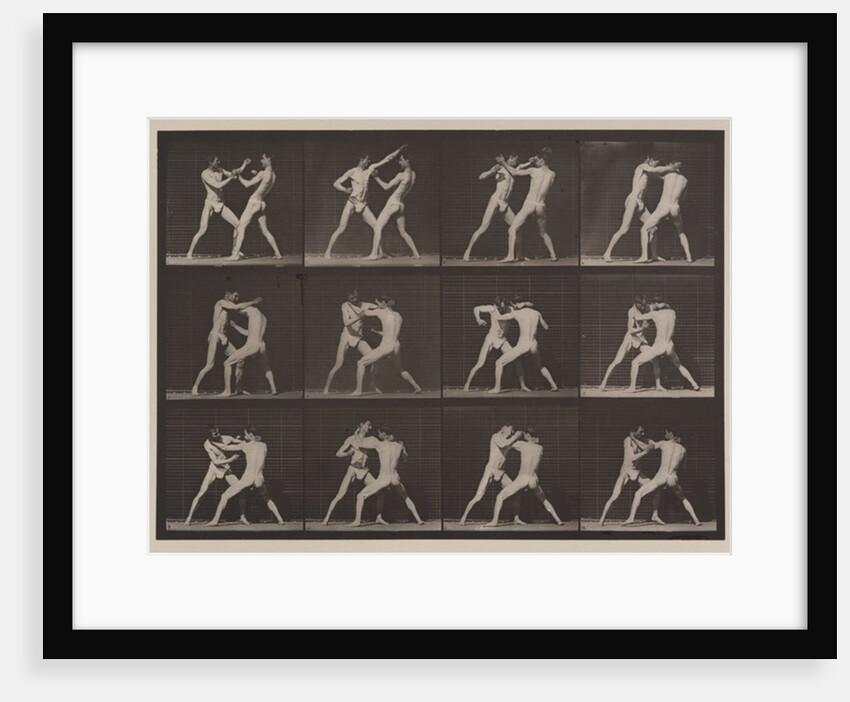Plate Number 340. Boxing; open hand, 1887 by Eadweard Muybridge