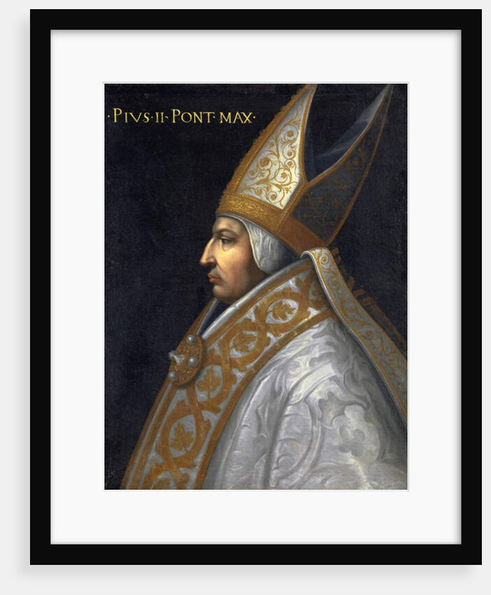 Portrait of Pope Pius II, c.1560 by Cristofano dell' Altissimo