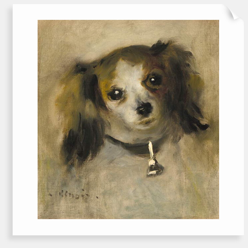 Head of a Dog, 1870 by Pierre Auguste Renoir