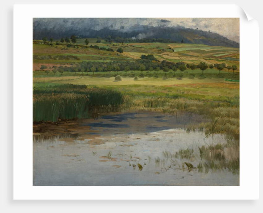 The 'Drowned“ Pond, 1887 by Antonin Chittussi