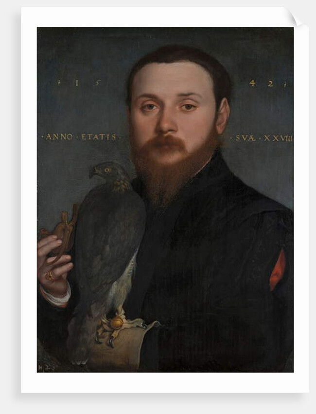 Portrait of a Nobleman with a Hawk, 1542 by Hans Holbein the Younger