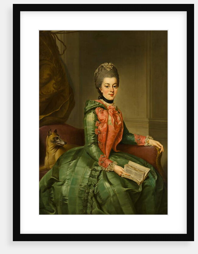 Portrait of Princess Frederika Sophia Wilhelmina, c.1768-69 by Johann Georg Ziesenis