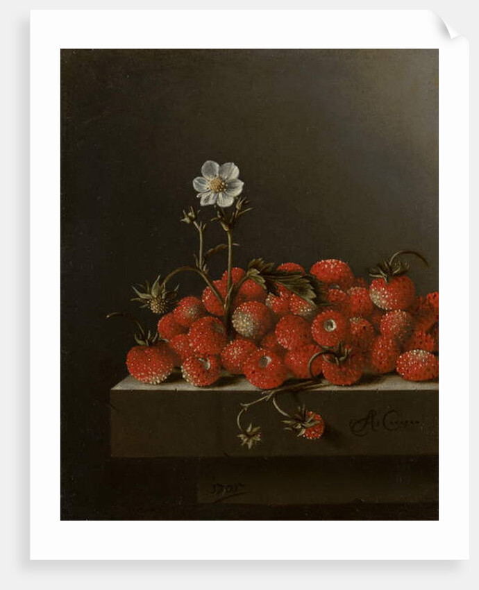 Still Life with Wild Strawberries, 1705 by Adrian Coorte