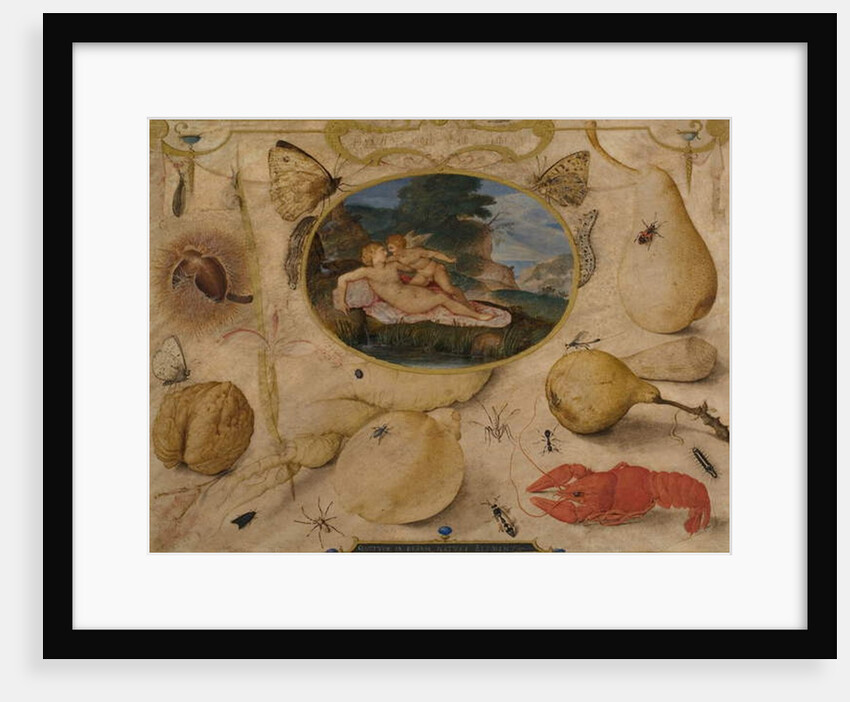 Venus disarming Amor in a medallion surrounded by plants, fruits, insects and shellfish, c. 1595 by Joris Hoefnagel